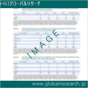 グローバルリサーチ調査レポートのイメージ